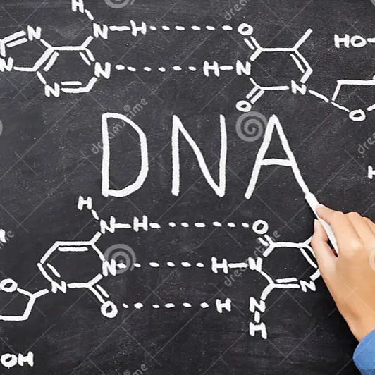 Στιγμιότυπο οθόνης 2024-09-05 120231