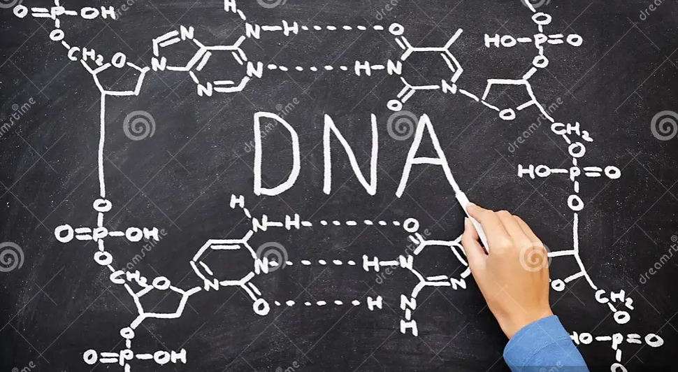 Στιγμιότυπο οθόνης 2024-09-05 120231